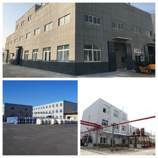 Κίνα Shandong Jiuchong Chemical Co., Ltd. Εταιρικό Προφίλ
